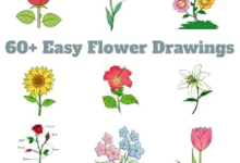 Simple Flower Drawings