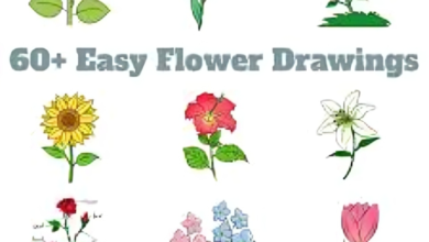 Simple Flower Drawings