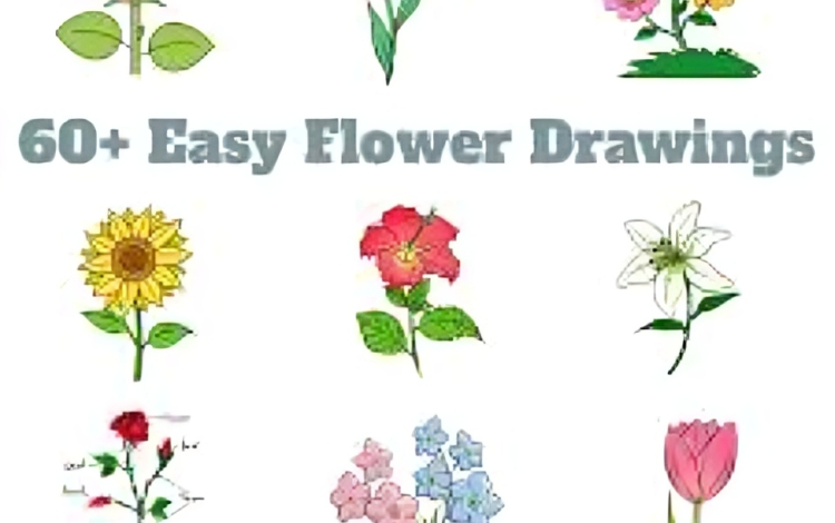 Simple Flower Drawings