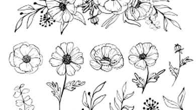 Flower Drawings