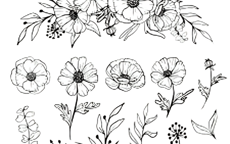 Flower Drawings