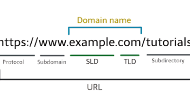 Domain Name