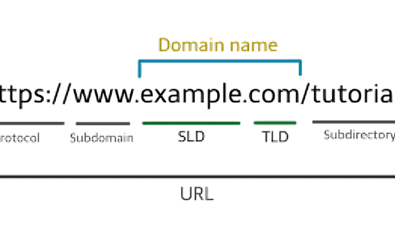 Domain Name