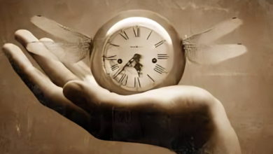 Tempus Fugit Meaning