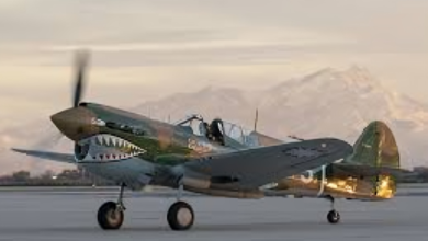 P40 Warhawk