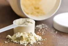 Top Rated Whey Protein