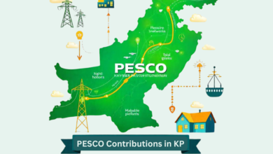PESCO’s Role in KP’s Electricity Supply