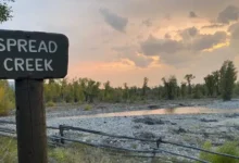 spread creek dispersed camping