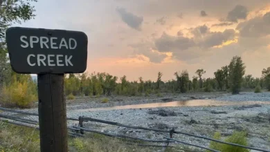 spread creek dispersed camping