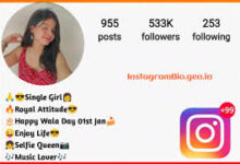 Cute Classy Instagram Bio