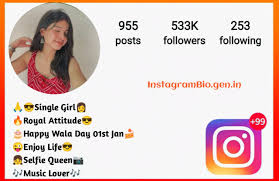 Cute Classy Instagram Bio